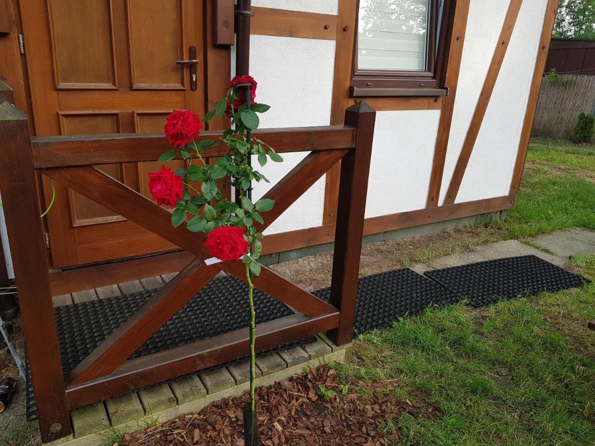Pustkowo Domki Wakacyjne U Marka Bagian luar foto